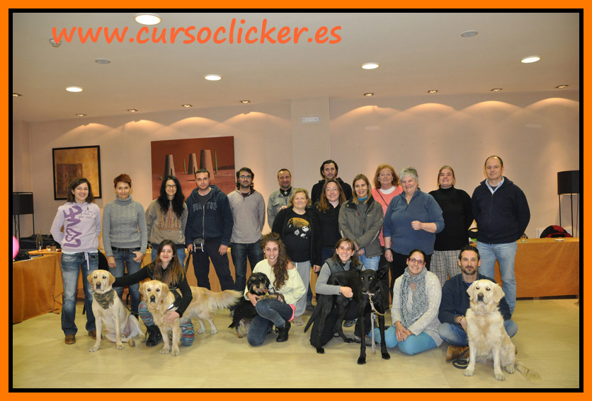 clicker trainers - super trainers kay laurence www.cursoclicker.es diciembre 2013 madrid 155